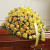 Yellow & White Rose Half Casket Cover
