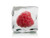 Raspberry Ice