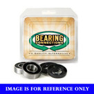 Bearing Connection Rear Wheel Bearing Kits 301-0098