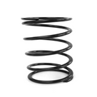 EPI Clutch Spring PATV16