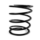 EPI Clutch Spring QRS1