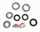 All Balls Racing Differential Bearing Kit 25-2015