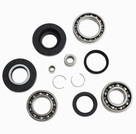 All Balls Racing Differential Bearing Kit 25-2012