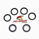 All Balls Racing Wheel Bearing Kit Rear 25-1433
