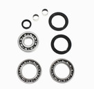 All Balls Racing Differential Bearing Kit 25-2056