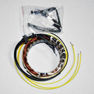 Rick's Electric OE Style Stator 21-100