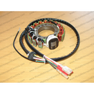 Rick's Electric High Output Stator 21-616H