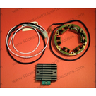 Rick's Electric H.O. Kit: Rec/Reg & Stator 99-101