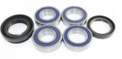 Epi Epi Performance Wheel Bearing Kit We301023