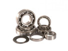 C&E Holdings Transmission Bearing Kit Hr00158