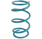 EPI Secondary (Driven) Clutch Springs Teal PEBS30