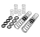 Eibach Performance Spring System Silver E85-209-012-04-22