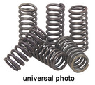 EBC Clutch Springs CSK47