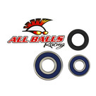All Balls Racing Wheel Bearing Kit - One Wheel 25-1043