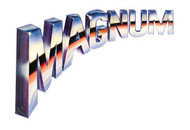 MAGNUM SHIELDING