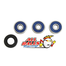 All Balls Racing Wheel Bearing Kit Rear 25-1295