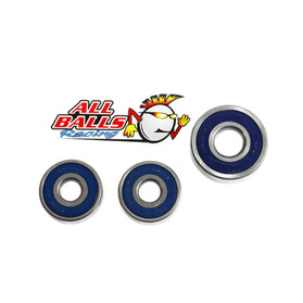 All Balls Racing Wheel Bearing Kit Rear 25-1325