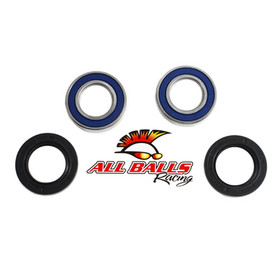 All Balls Racing Wheel Bearing Kit Rear 25-1396