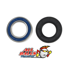 All Balls Racing Rear Wheel Bearing Kit - Both Wheels 25-1149