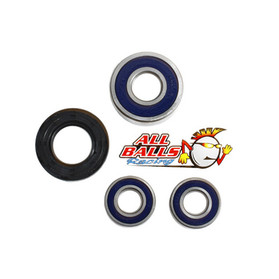 All Balls Racing Wheel Bearing Kit Rear 25-1096