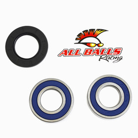 All Balls Racing Rear Wheel Bearing Kit - Both Wheels 25-1322