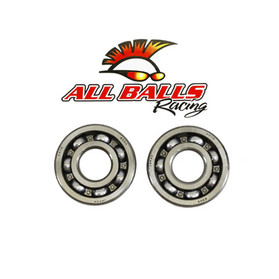 All Balls Racing Crankshaft Bearing And Seal Kit 24-1031