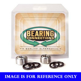 Bearing Connection Shock Absorber Kits - Lower 413-0065