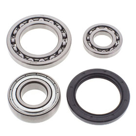 All Balls Racing Snowmobile Chain Case Bearing & Seal Kit 14-1042