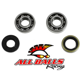 All Balls Racing Crank Shaft Bearing & Seal Kit 24-1070