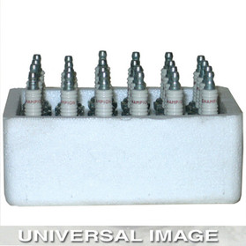 Champion Spark Plug (24) 841S