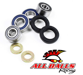 All Balls Racing Wheel Bearing And Seal Kit Upgrade 25-1639