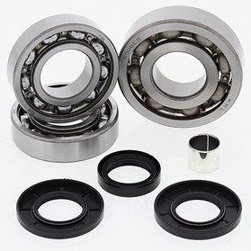 All Balls Racing Differential Bearing Kit 25-2058