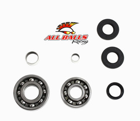 All Balls Racing Differential Bearing Kit 25-2054