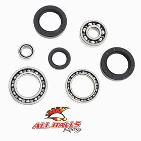 All Balls Racing Differential Bearing Kit 25-2007