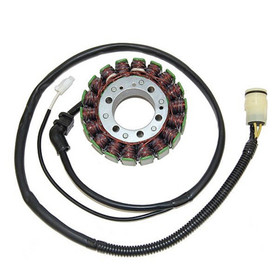 Electrosport Stator Kawasaki Zx-12R (02-03) B1/B2 ESG591