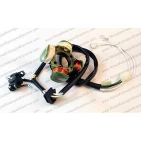 Rick's Electric High Output Stator 21-820H