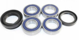 Epi Epi Performance Wheel Bearing Kit We301023