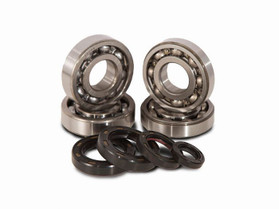 C&E Holdings Main Bearing And Seal Kit Hr00156