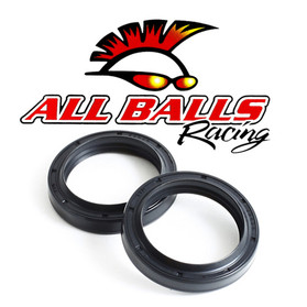 All Balls Racing Fork Seal Kit 55-139