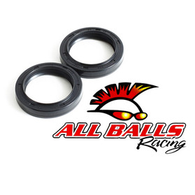 All Balls Racing Fork Seal Kit 55-110