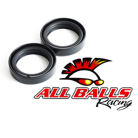 All Balls Racing Fork Seal Kit 55-133