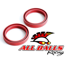 All Balls Racing Fork Seal Kit 55-121