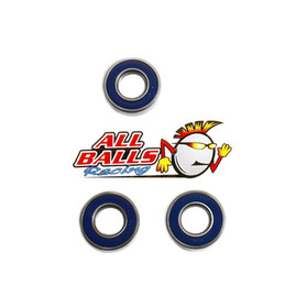 All Balls Racing Wheel Bearing Kit Rear 25-1348