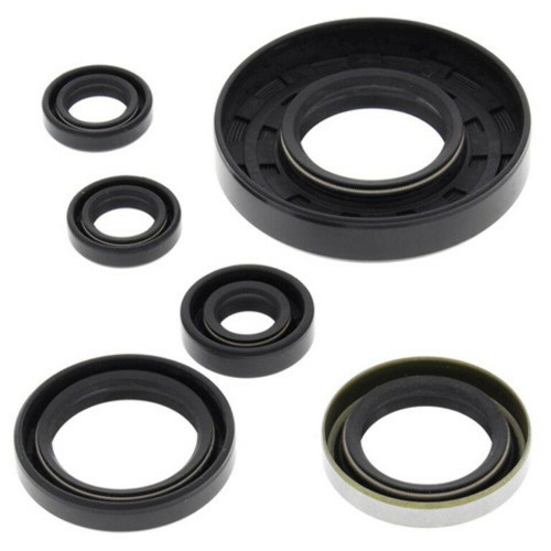 Vertex Engine Oil Seal Set 822262