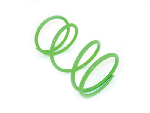 EPI Clutch Spring Green YDR17