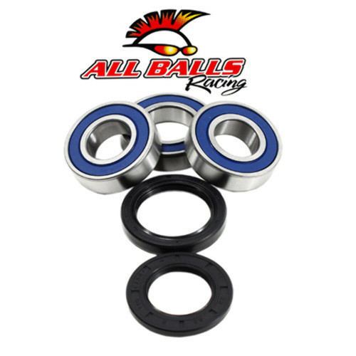 All Balls Racing Wheel Bearing Kit (Repl 25-1391) 25-1111