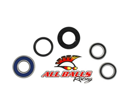 All Balls Racing Wheel Bearing Kit Rear 25-1192
