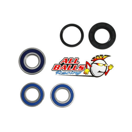All Balls Racing Wheel Bearing Kit Rear 25-1193