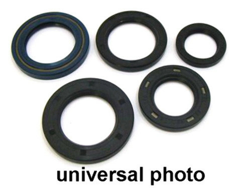 Vertex Engine Oil Seal Set 822210