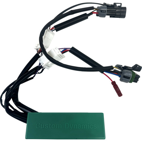 Custom Dynamics Module - Run/Turn/Brake - RZR Pro